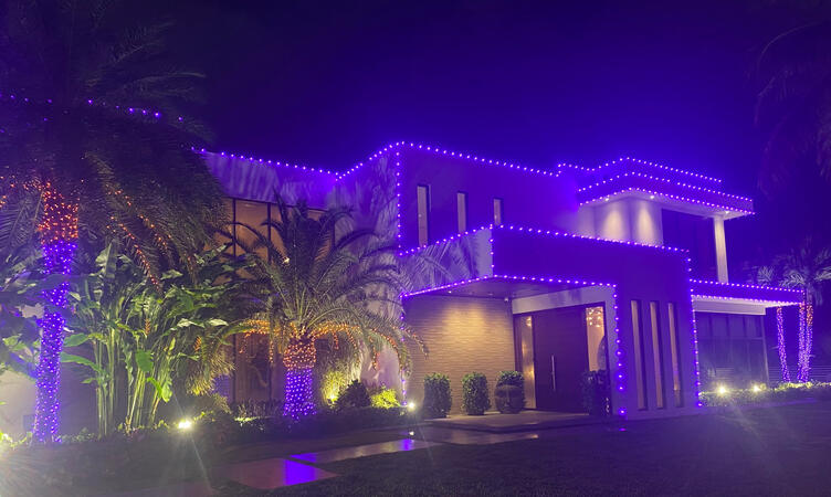 Halloween lights