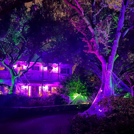 Halloween lighting Halloween lighting